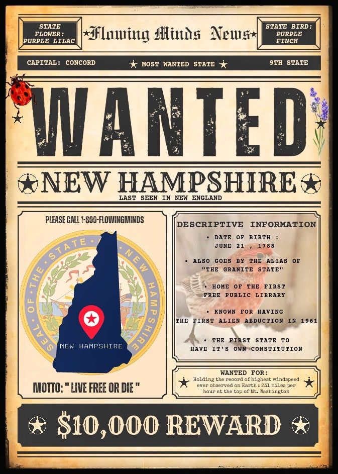 State of New Hampshire wanted poster
