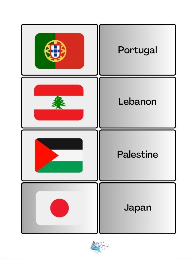 Country and flag matching card game set 