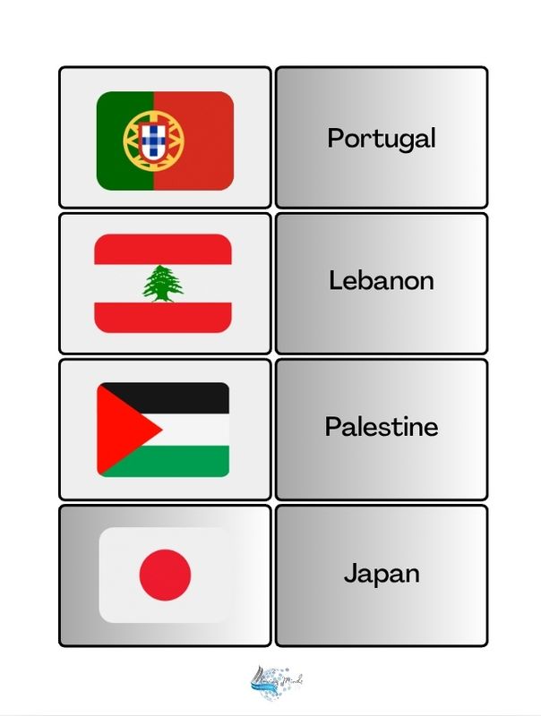Country and flag matching card game set 