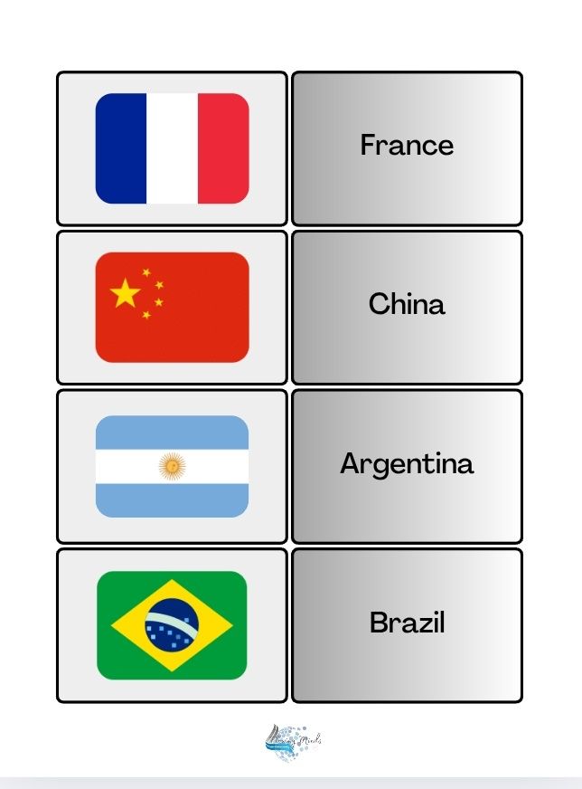 Country and flag matching card game set 