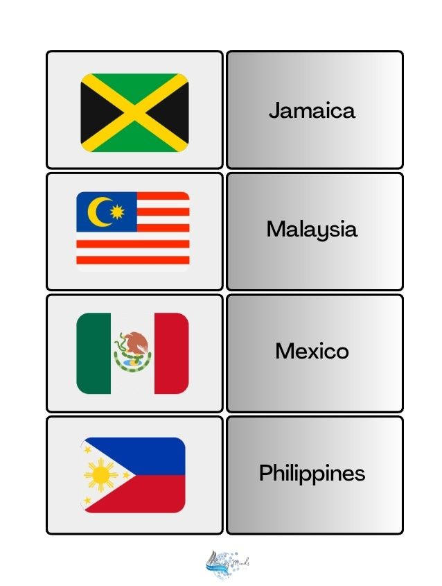 Country and flag matching card game set 