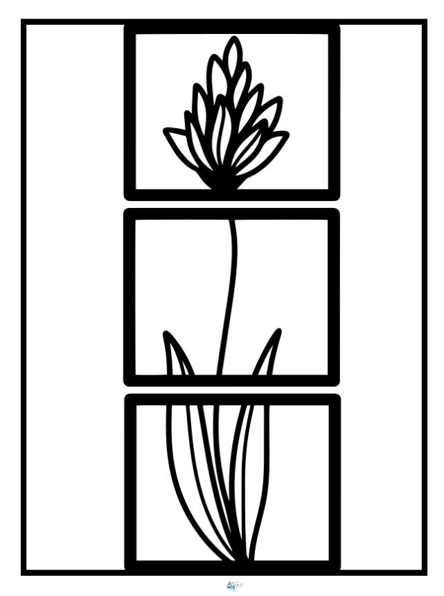 Adult spring coloring book