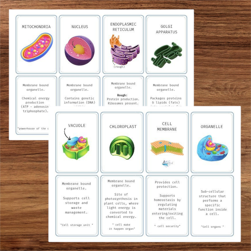 Plant cell parts flash cards or matching memory game set