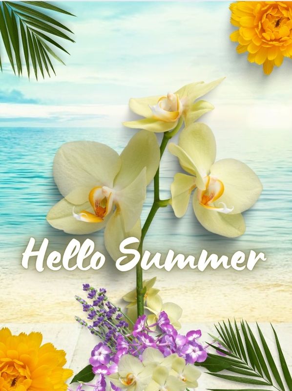 Hello Summer Wall art