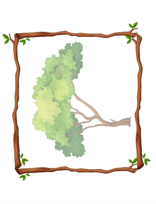 Roman numerals in nature activity