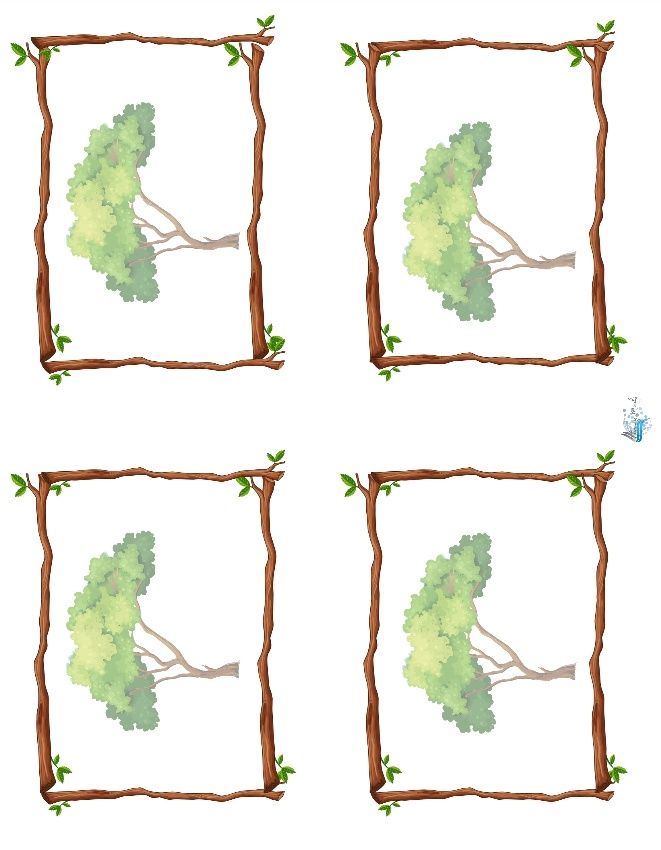 Roman numerals in nature activity