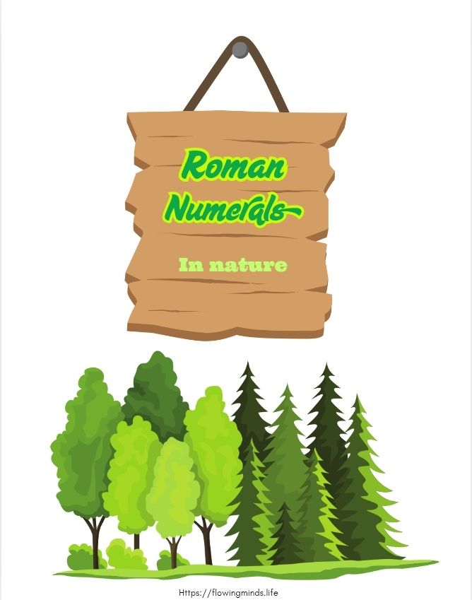 Roman numerals in nature activity