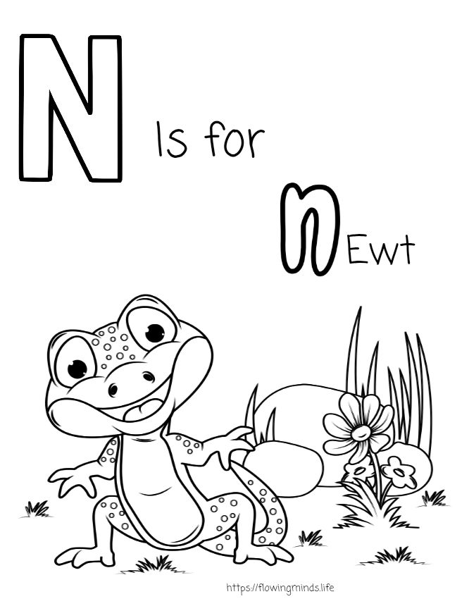 N is for Newt coloring page