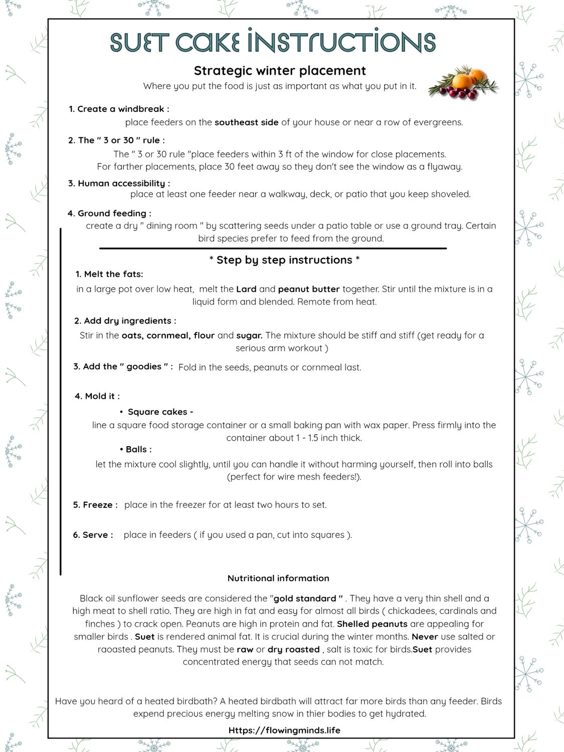 Winter Bird Feeder Ice Ornaments activity