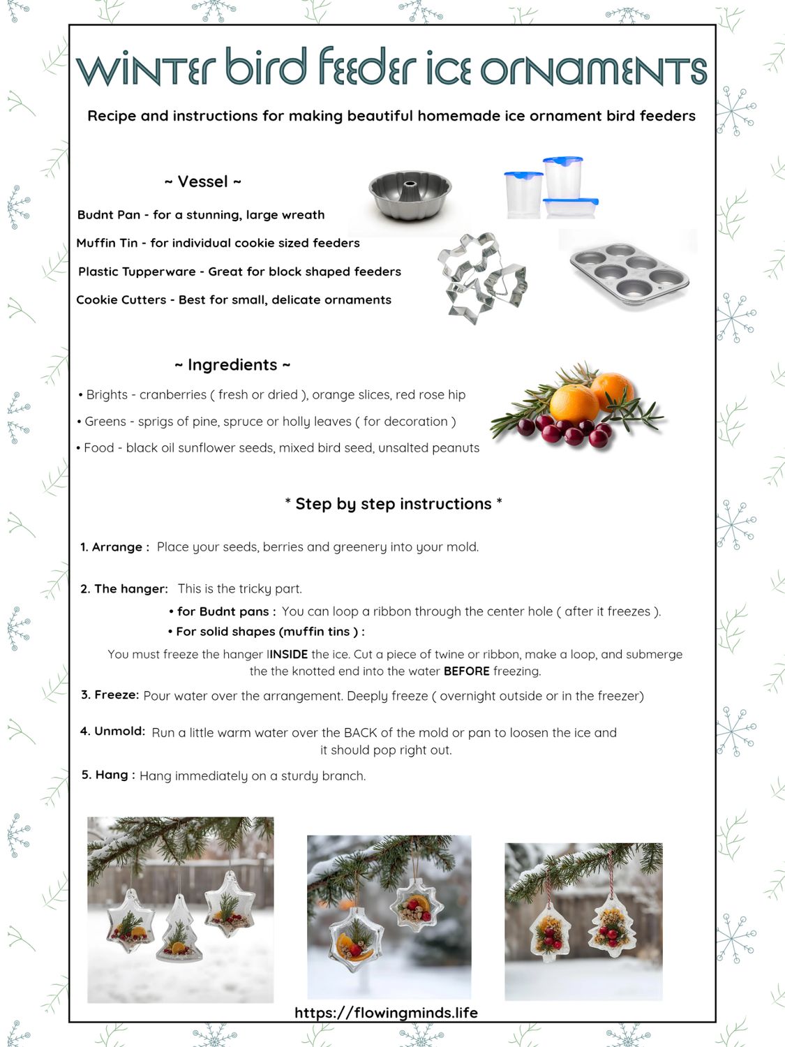Winter Bird Feeder Ice Ornaments activity
