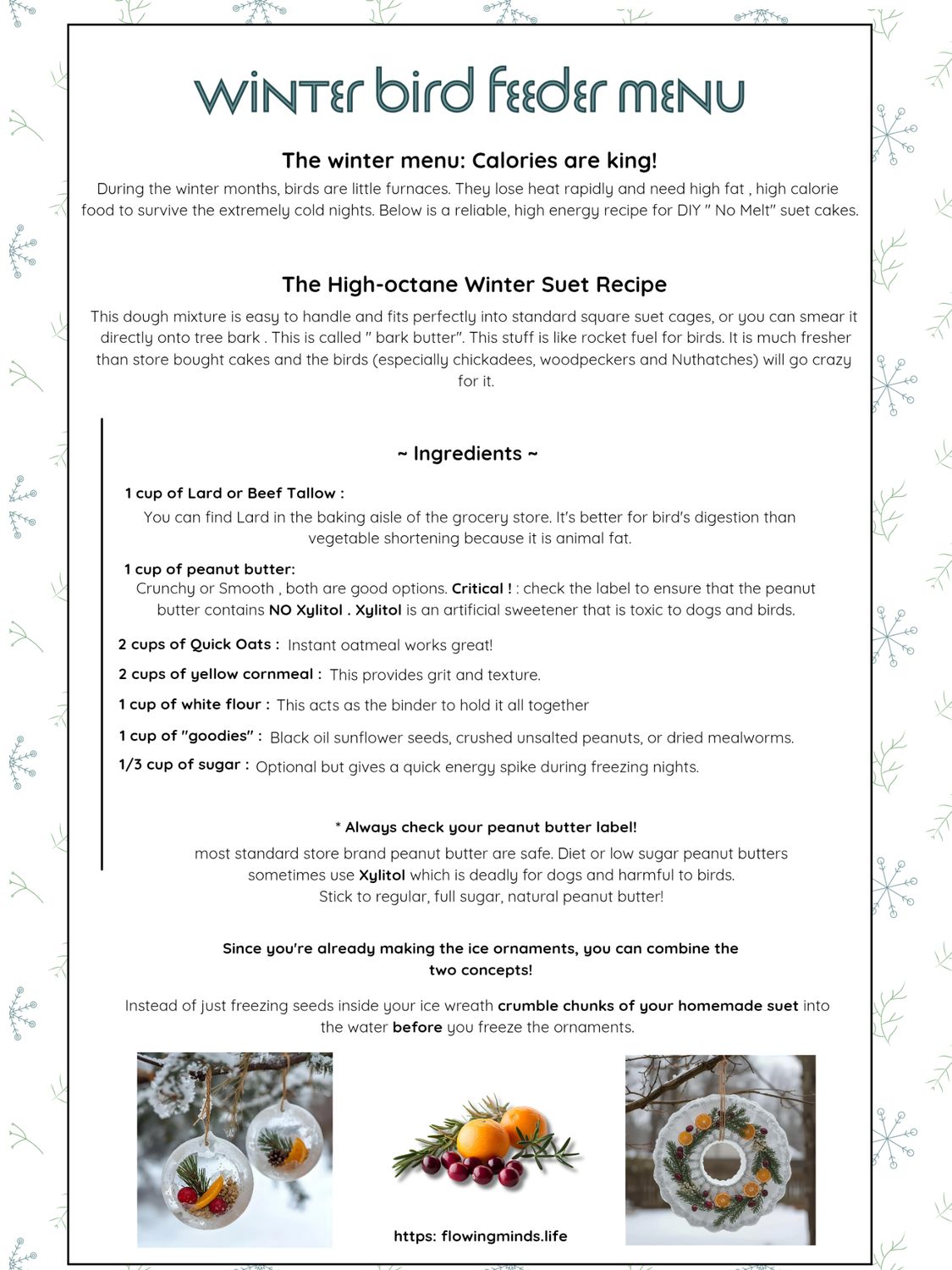 Winter Bird Feeder Ice Ornaments activity