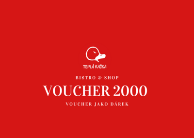 VOUCHER 2000