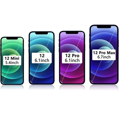 Riparazione e Assistenza per iPhone