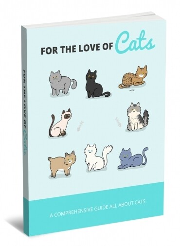 For the love of Cats