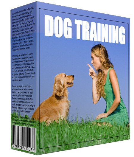 New Dog Training Information