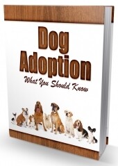 Dog Adoption