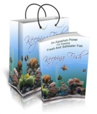 Keeping Fish