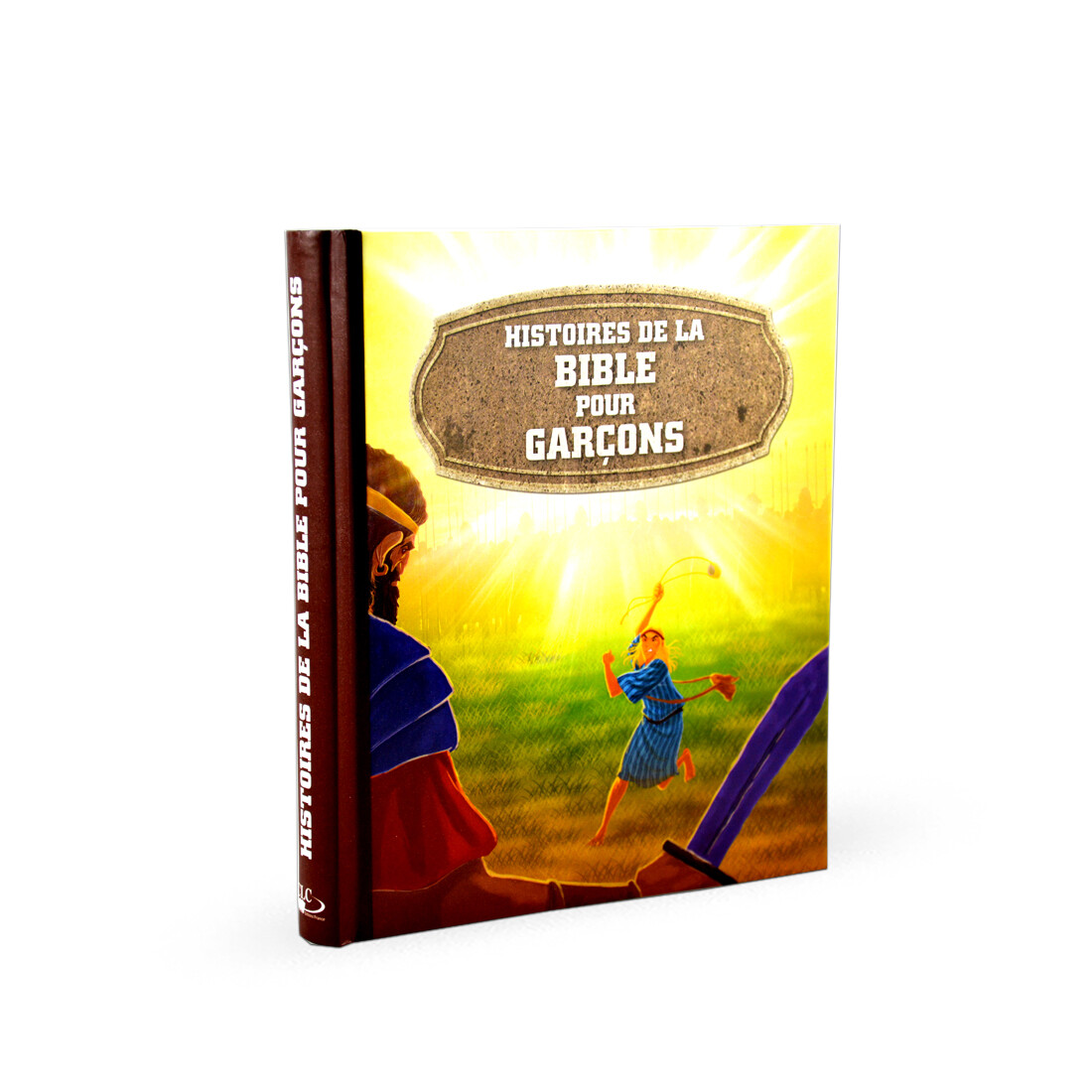 Histoires de la Bible pour garçons