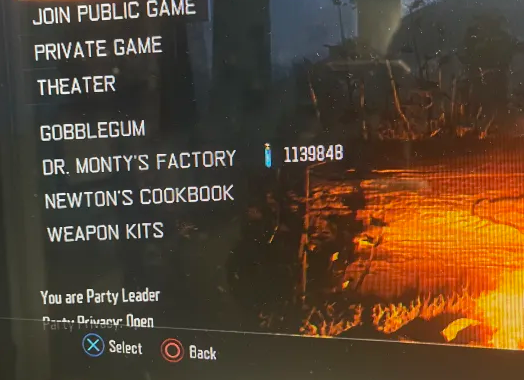 BO3 Liquid Divinium