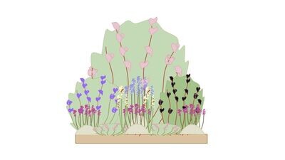 Cottage Garden Border  Planting Plan A 1m x1m
