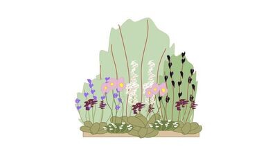 Cottage Garden Border Planting Plan B 1m x1m