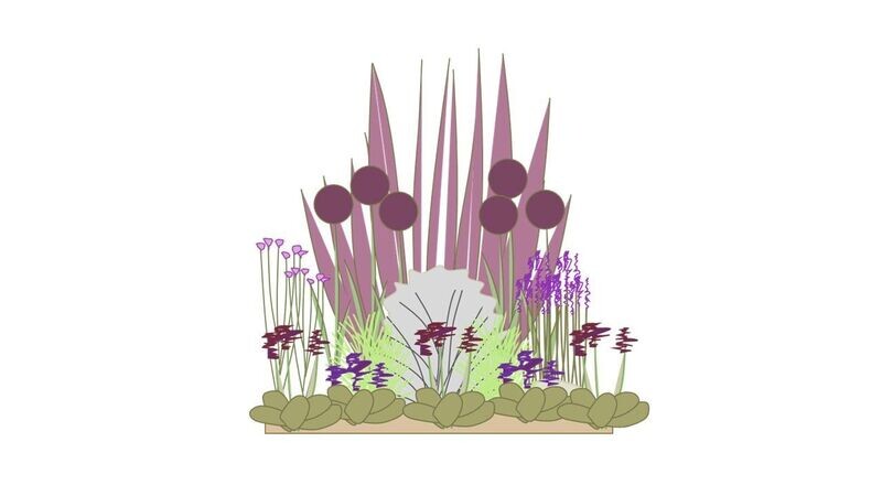Modern Border Planting Plan A 1m x1m