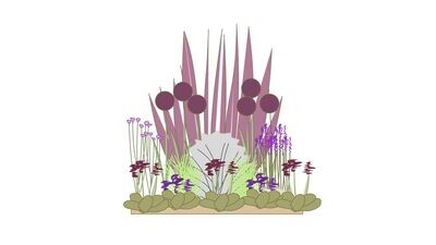 Modern Border Planting Plan A 1m x1m