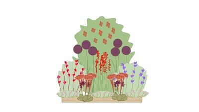 FREE - Wildlife Border Planting Plan A 1m x1m