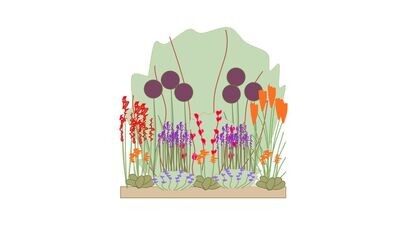 Sunny Border Planting Plan B 1m x1m