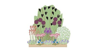 Wildlife Border Planting Plan B 1m x1m