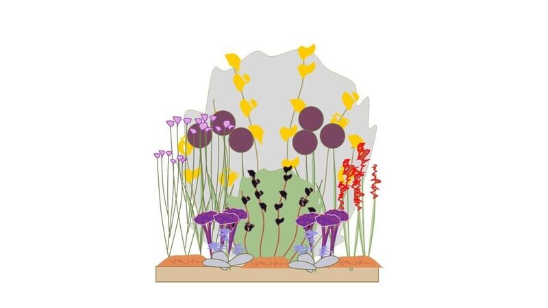 Sunny Border Planting Plan C 1m x1m