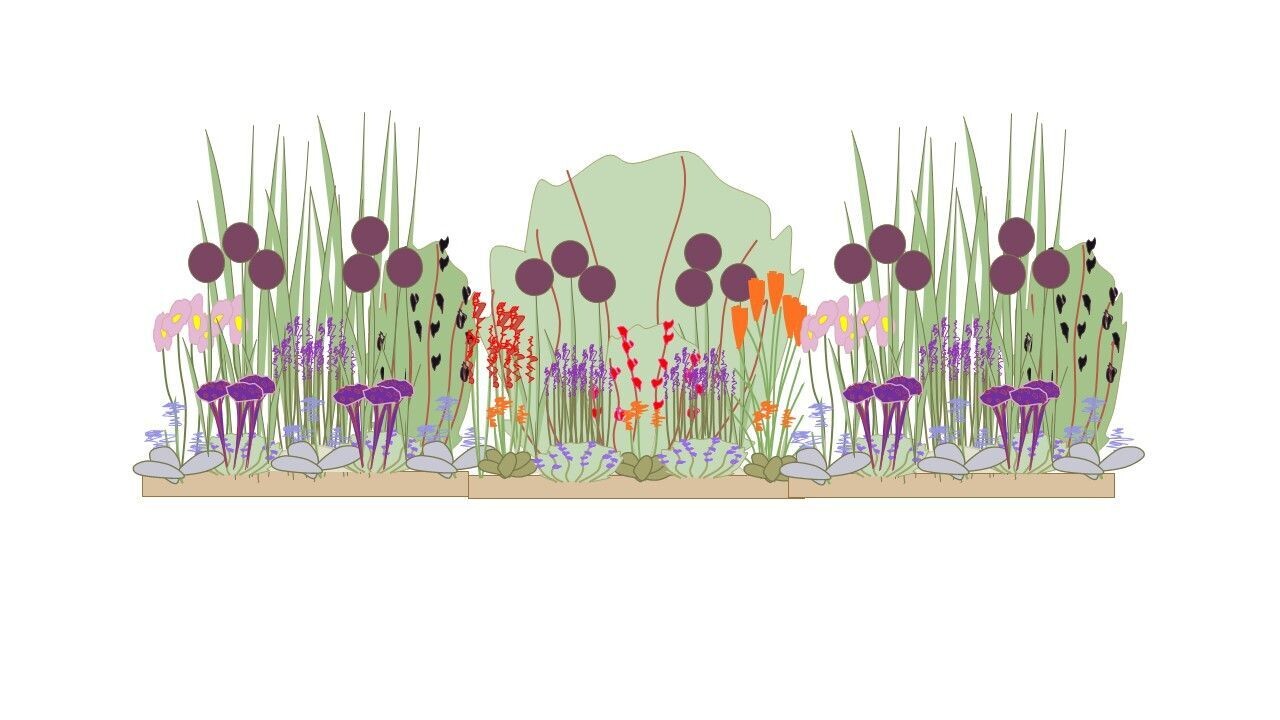 Sunny Border Planting Plan 3m x 1m