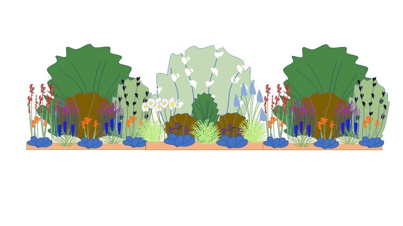 Modern Border Planting Plan 3m x 1m