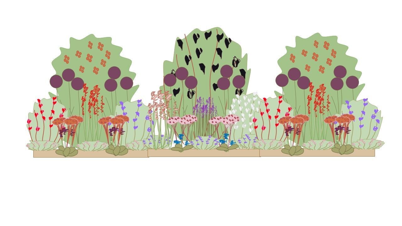 Wildlife Border Planting Plan 3m x 1m