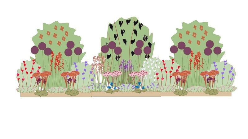 Wildlife Border Planting Plan 3m x 1m