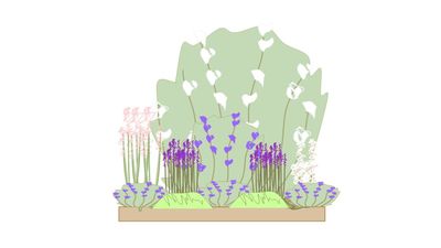 Cottage Garden Borders