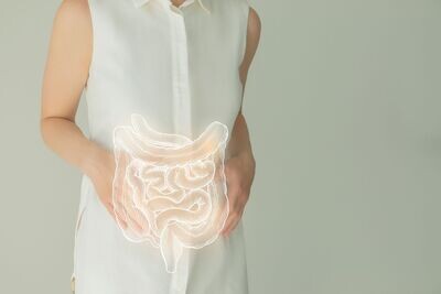 DIGESTIONE
