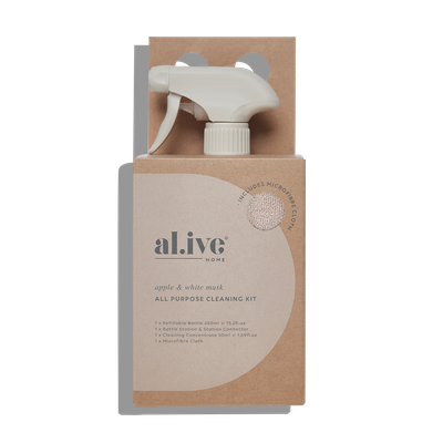 All Purpose Cleaning Kit