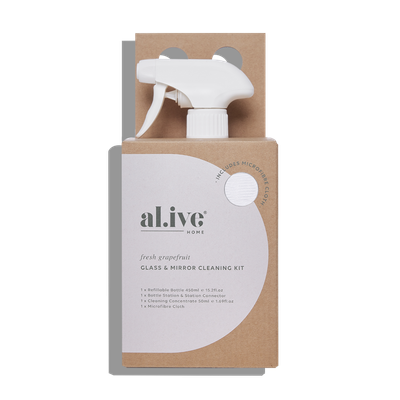 Glass &amp; Mirror Cleaning Kit
