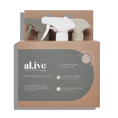 Home Cleaning Kit