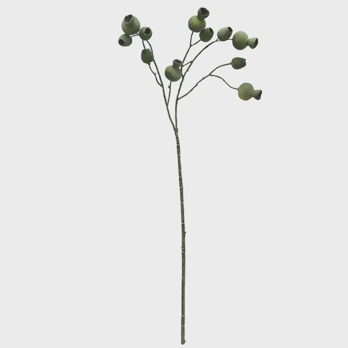 Gum Nut Stem 68cm Grey
