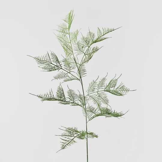 Fern Asparagus Spray Green 82cm