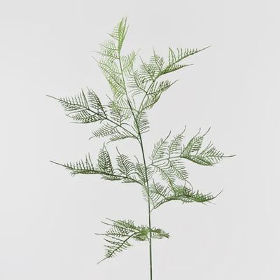 Fern Asparagus Spray Green 82cm