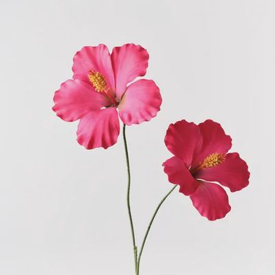 Hibiscus Spray Fuschia 83cm