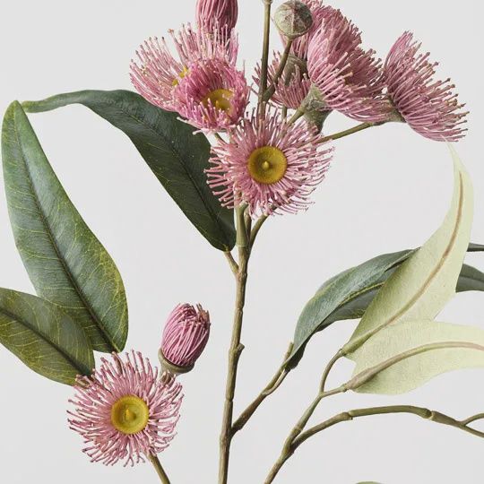 Eucalyptus Flowering Spray Light Pink 76cm