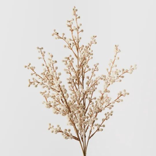 Wattle Bush Natural 48cm
