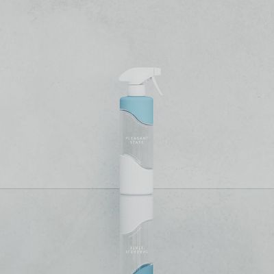 Pleasant State Glass &amp; Mirror Cleaning Bottle