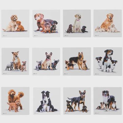 Puppy Love Ceramic Coaster