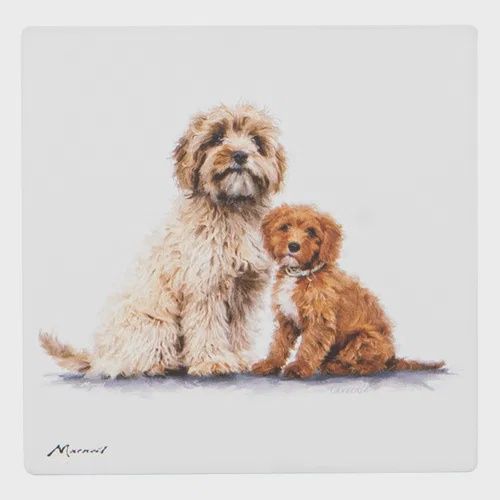 Puppy Love Ceramic Coaster, Pet Type: Cavoodle