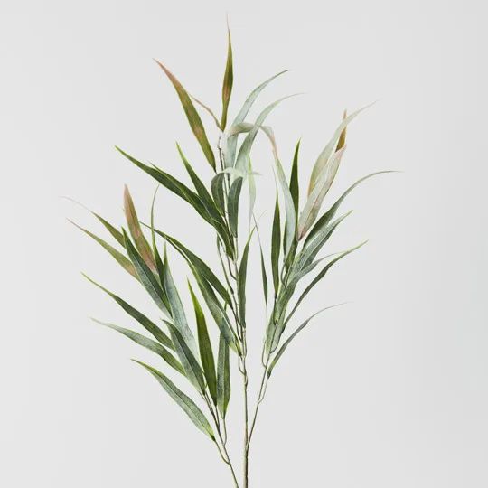 Eucalyptus Long Leaf Spray - Green